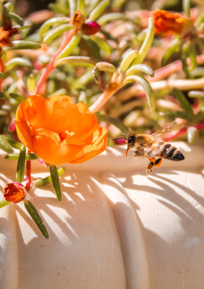 Photograph by Noora HT