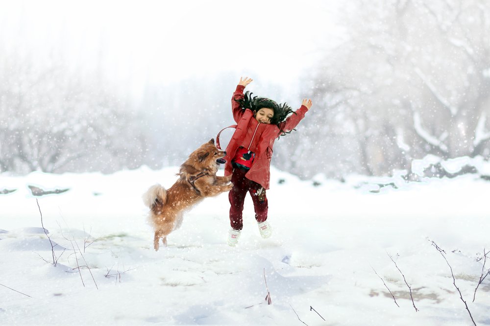 Photograph by mohsen mikaeili