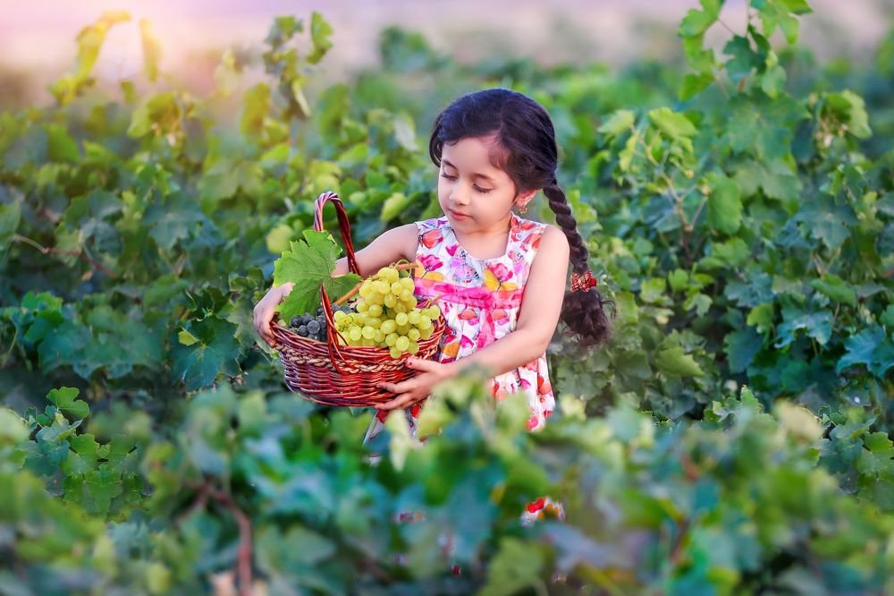 Photograph by mohsen mikaeili