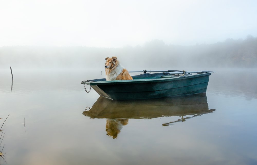 Photograph by LYUDMYLA POKRYSHEN