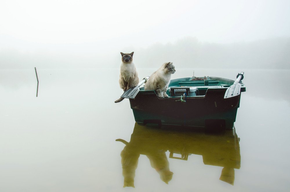 Photograph by LYUDMYLA POKRYSHEN