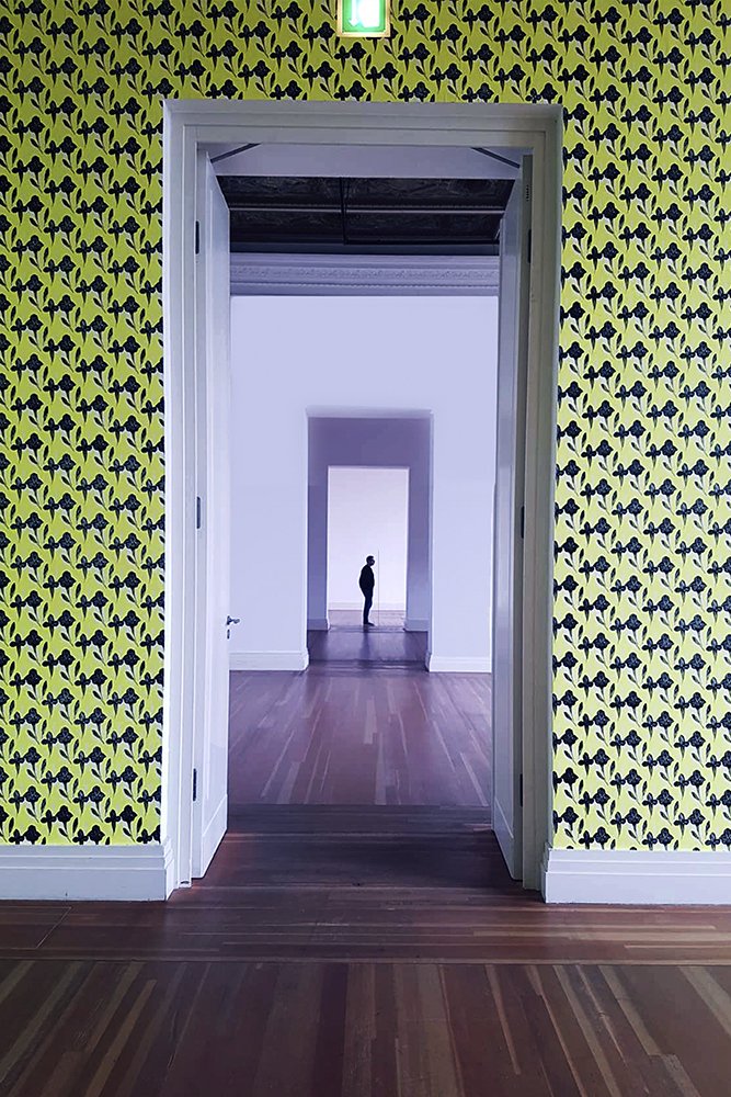 Photograph by Ishay (Jesse) Lindenberg