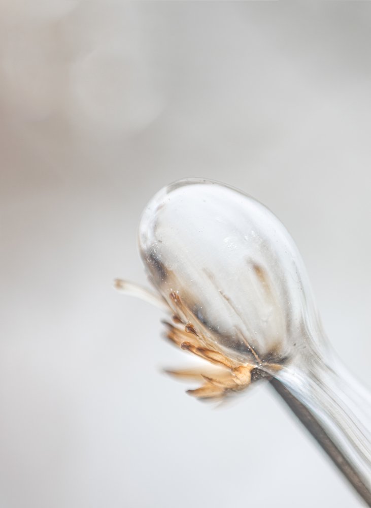 Ледяной дождь