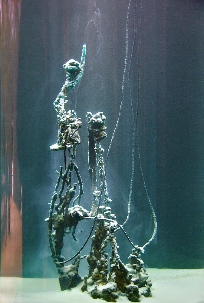 Фотография автора Nepran Vyacheslav