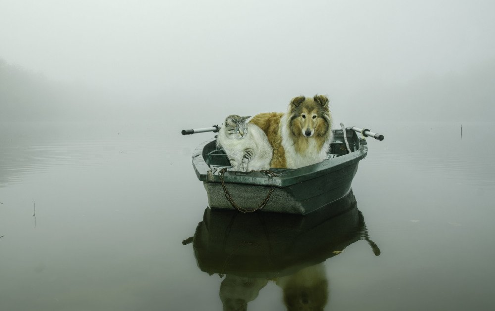 Photograph by LYUDMYLA POKRYSHEN