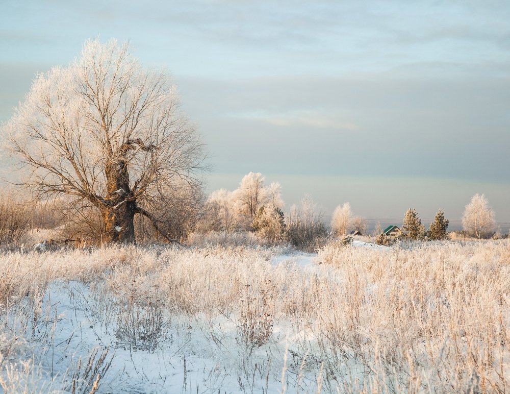 Photograph by Эльвира Сагдиева