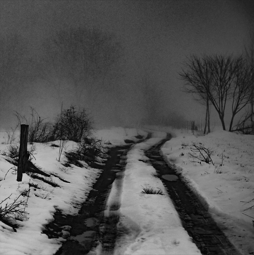 Photograph by Milos Andjusic