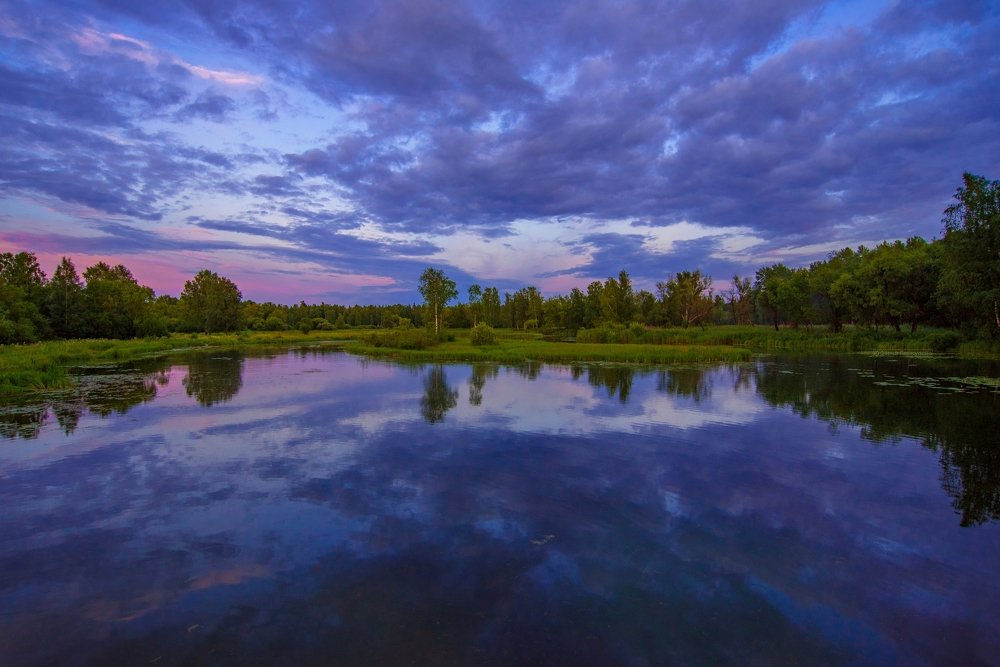 Фиолетовый пейзаж