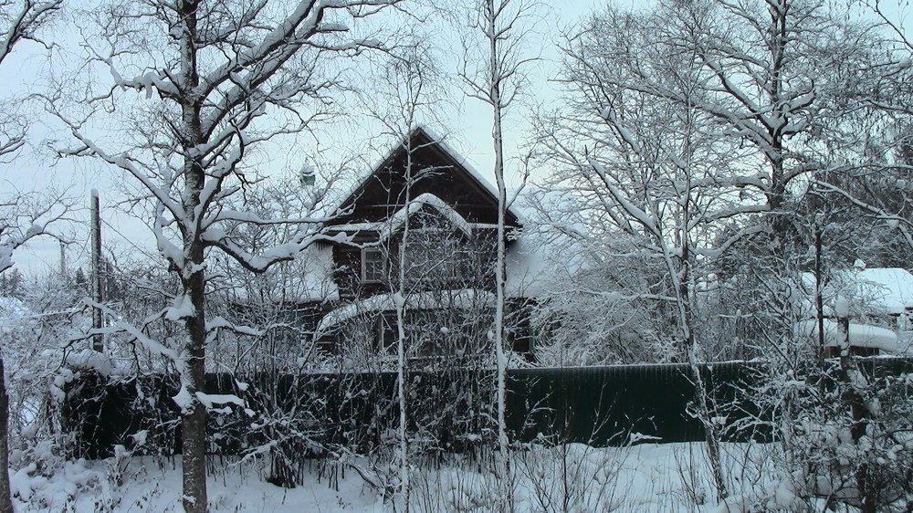 Photograph by Ирина Степановна Азаренкова