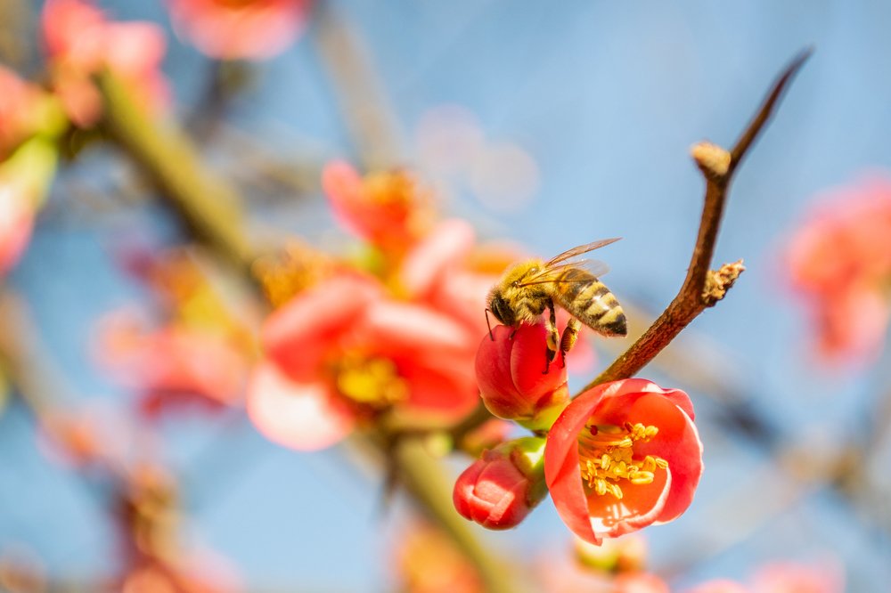 Photograph by Fahrudin Seferagić