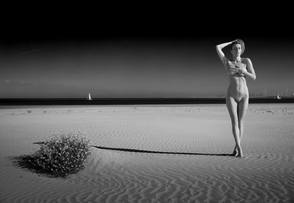 Photograph by Louis Sauter