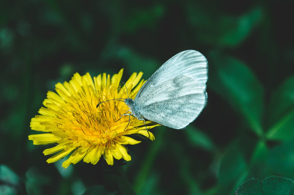 Photograph by Fahrudin Seferagić