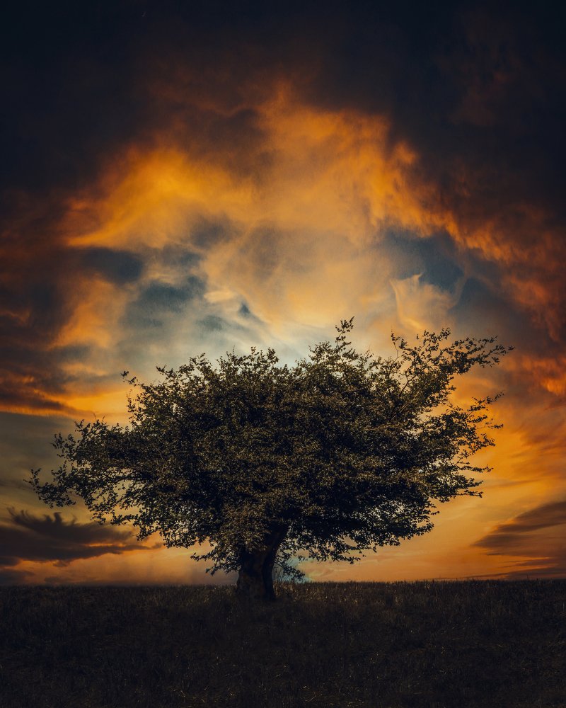 Photograph by Bayazidi Michael