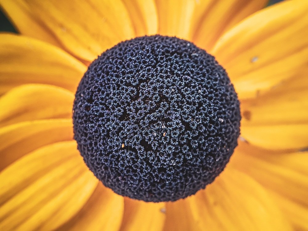 Photograph by Samuel Warsiewicz