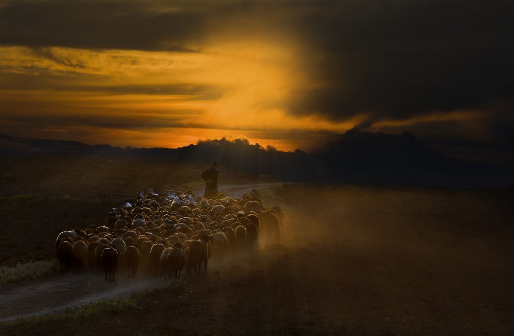 Photograph by Bayazidi Michael