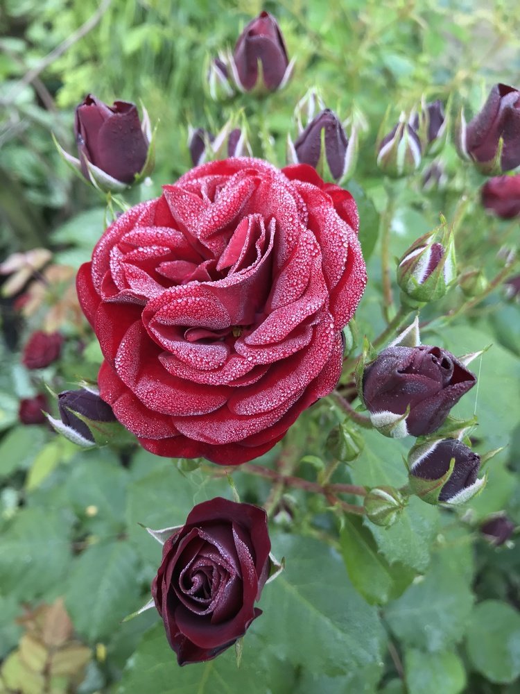 Photograph by Александр Бурлак