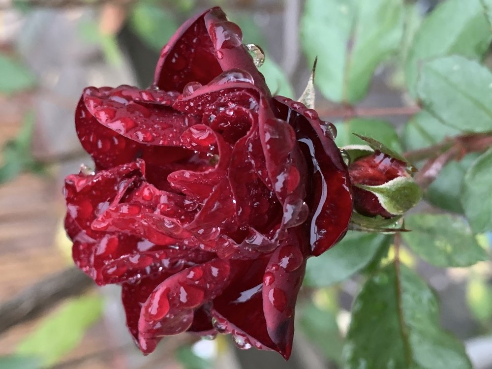 Photograph by Александр Бурлак