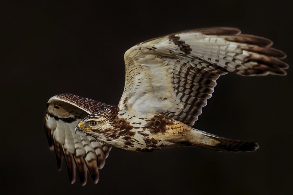 Photograph by Bayazidi Michael