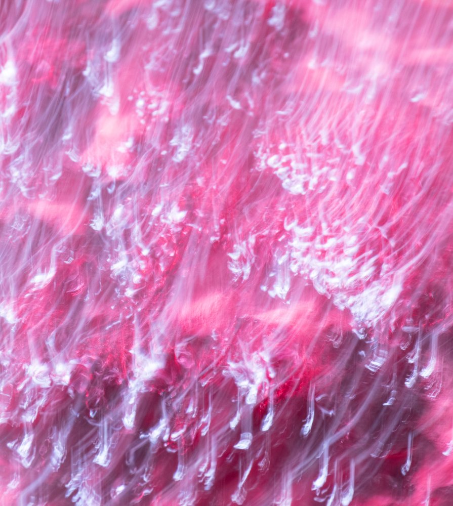 Fluorescence