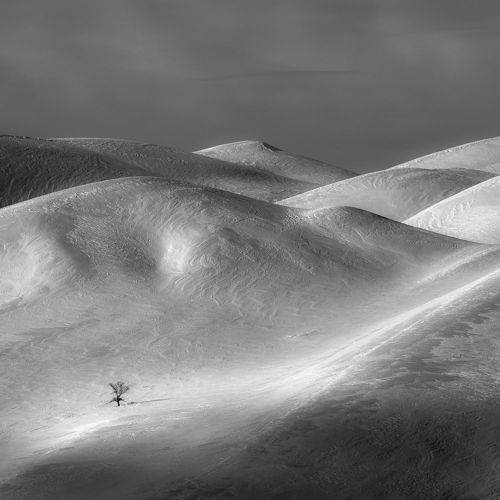 Фотография автора  Евгений