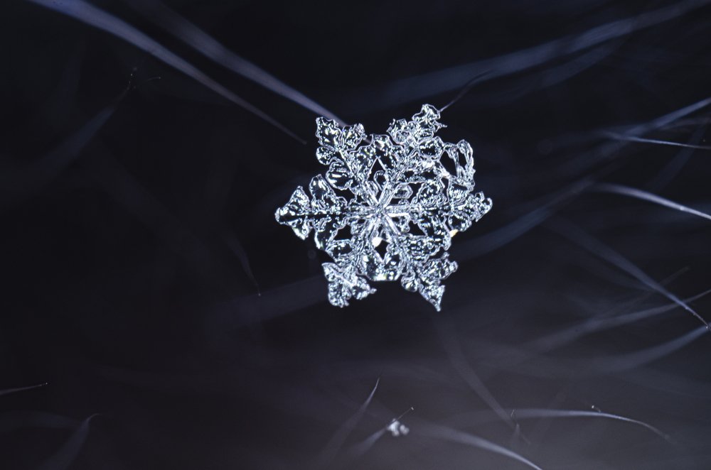 Photograph by Евгений Чумаков