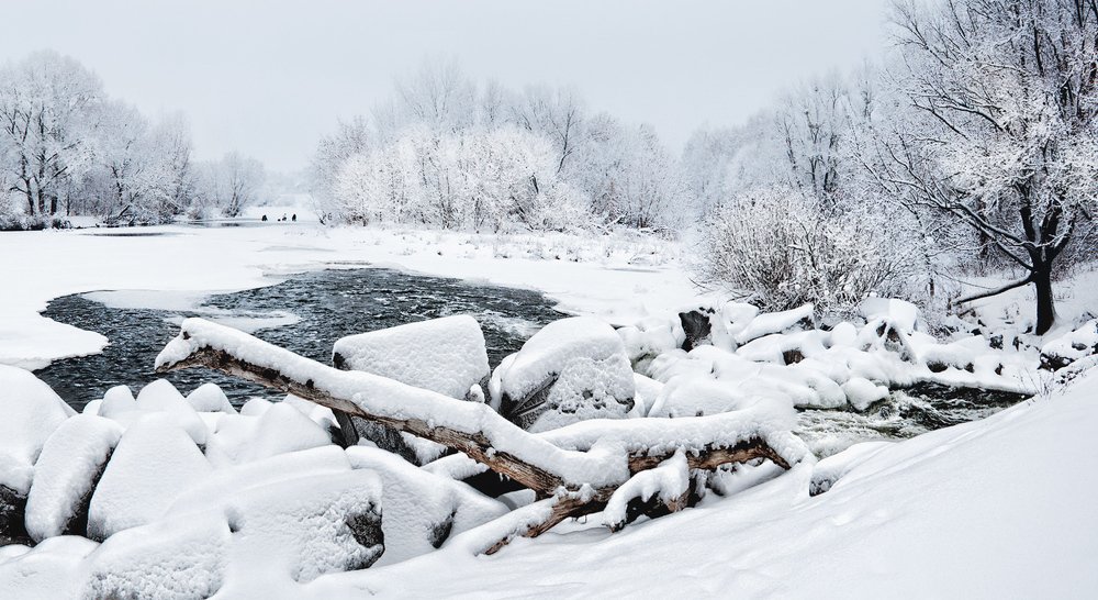 Photograph by Виталий Тимофеев