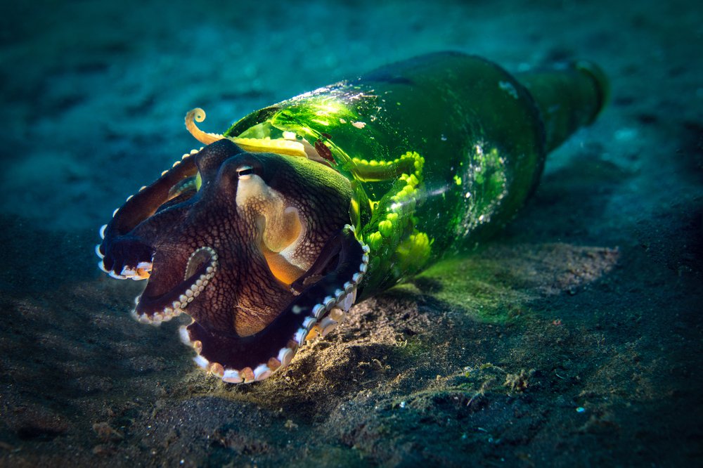 Photograph by Дериглазова Марина Владимировна