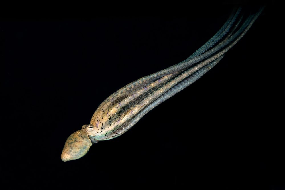 Photograph by Дериглазова Марина Владимировна