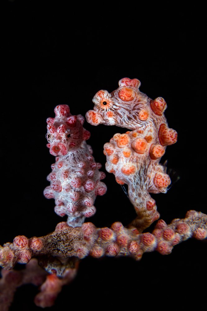 Photograph by Дериглазова Марина Владимировна