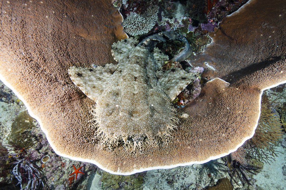 Photograph by Дериглазова Марина Владимировна