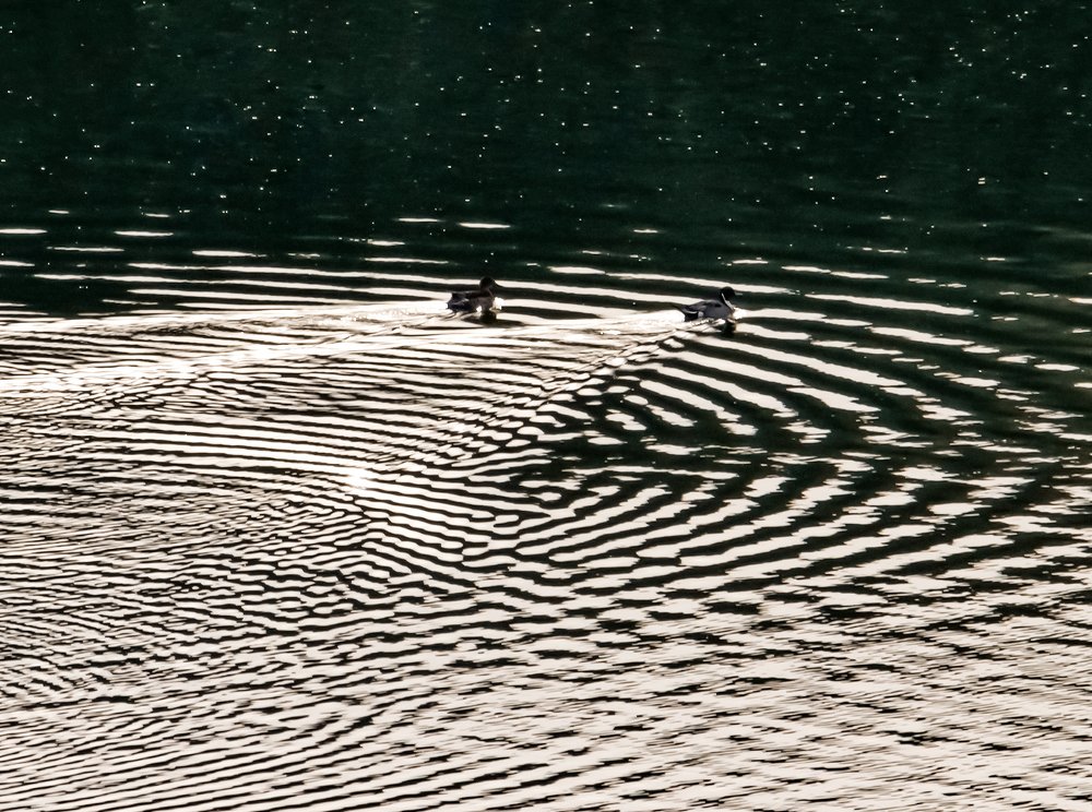 Творящие пространство