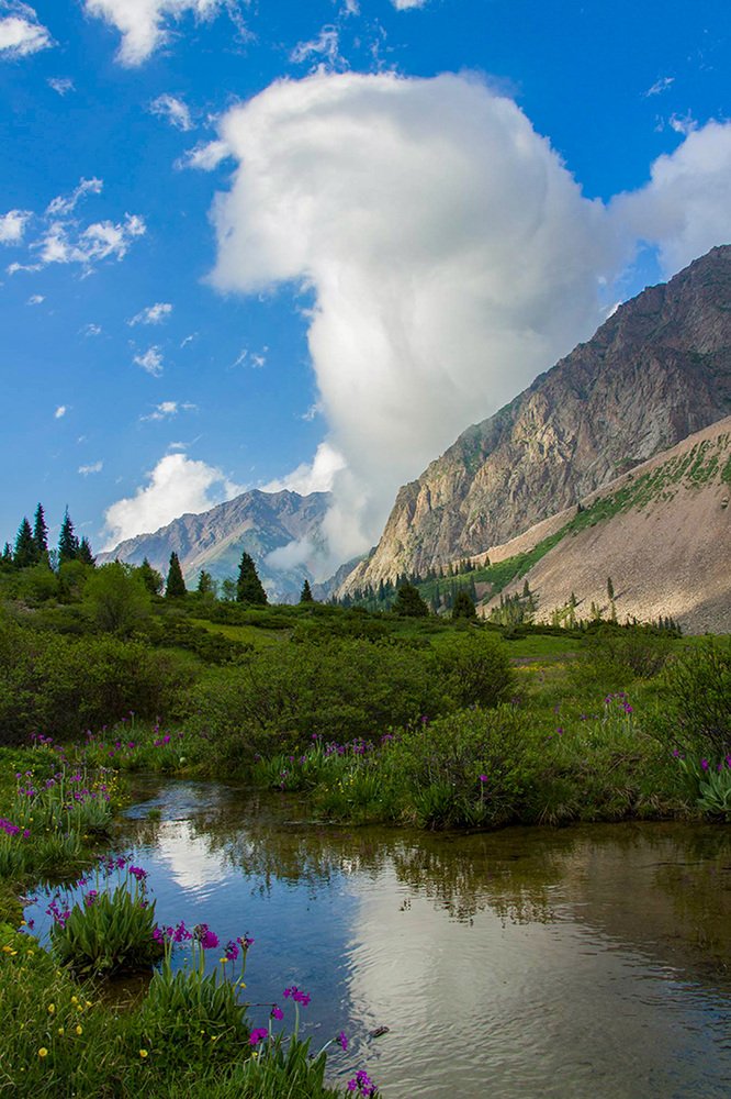 Лето в горах