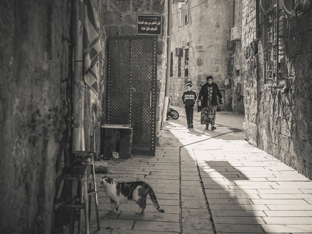 Photograph by Semion Ribinik