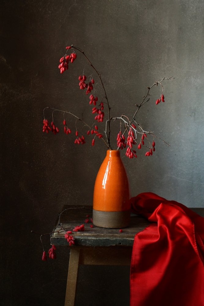 Ноябрьский барбарис