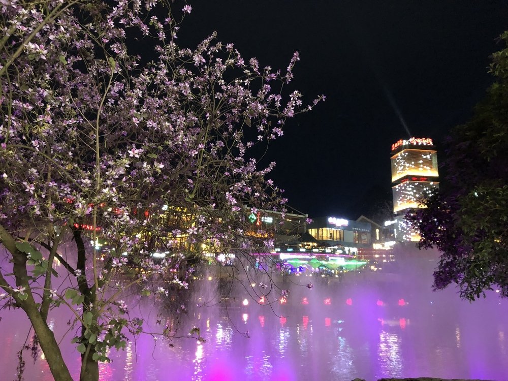 Фотография автора Maria Alekseeva