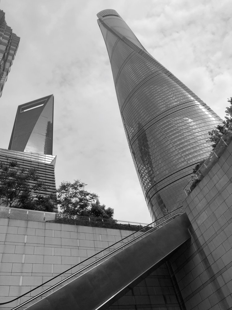 Фотография автора Maria Alekseeva