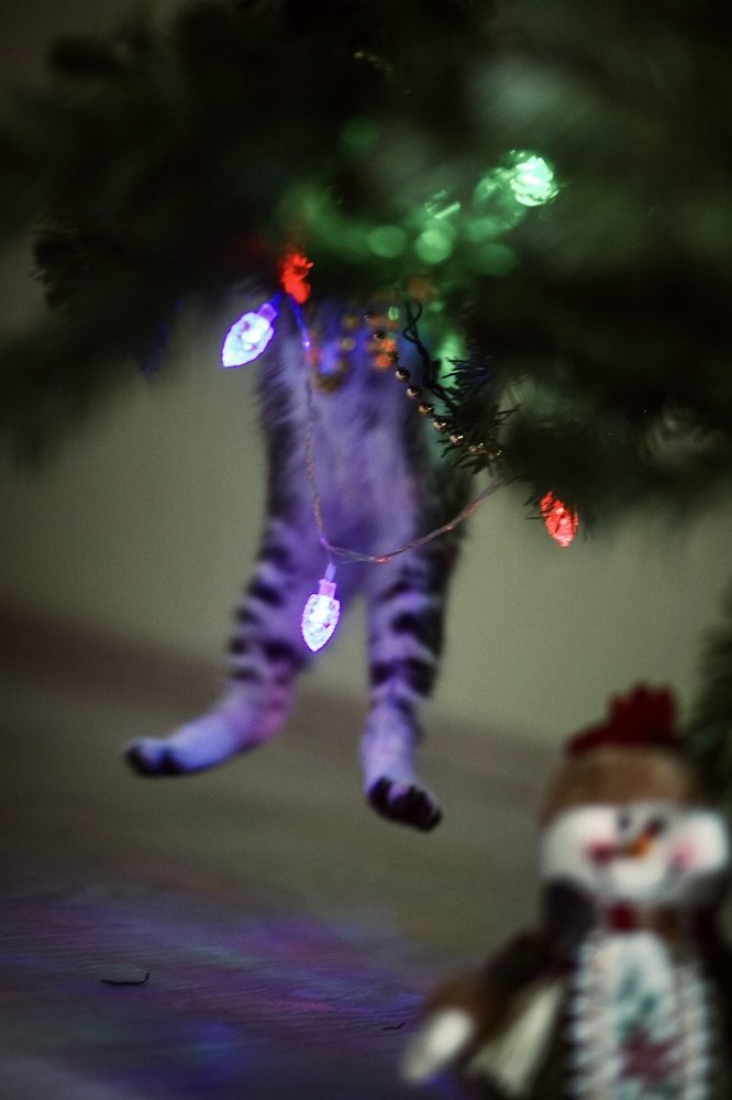 Photograph by Лазарева Анна Игоревна