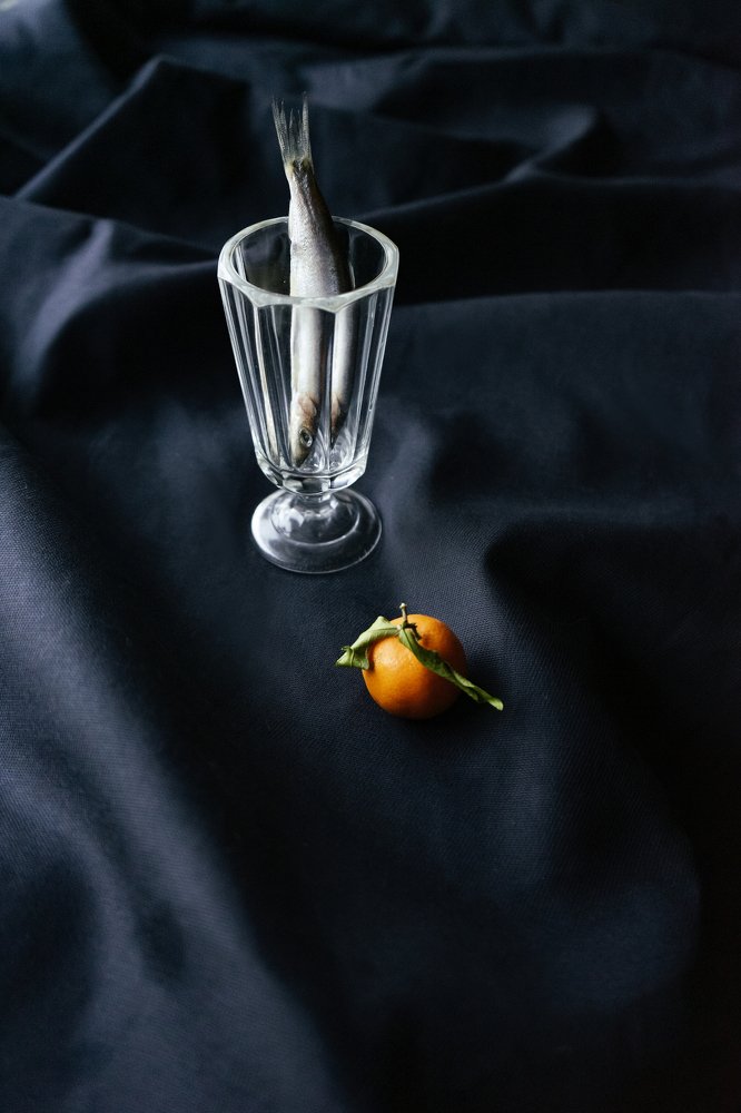 Photograph by Евгения Драбкина