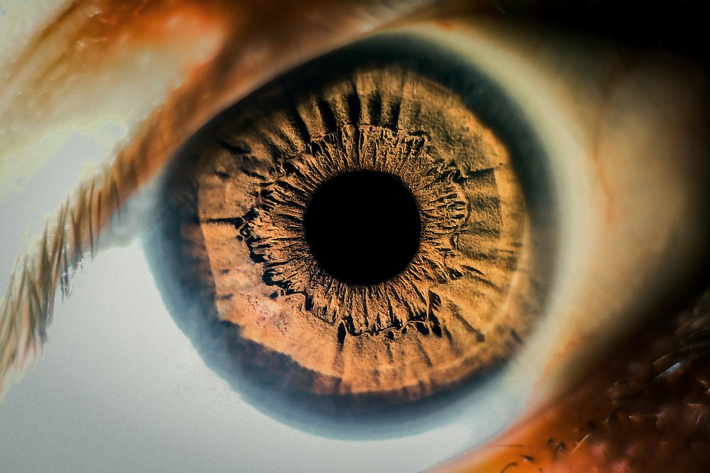 Photograph by Gabriel Qais