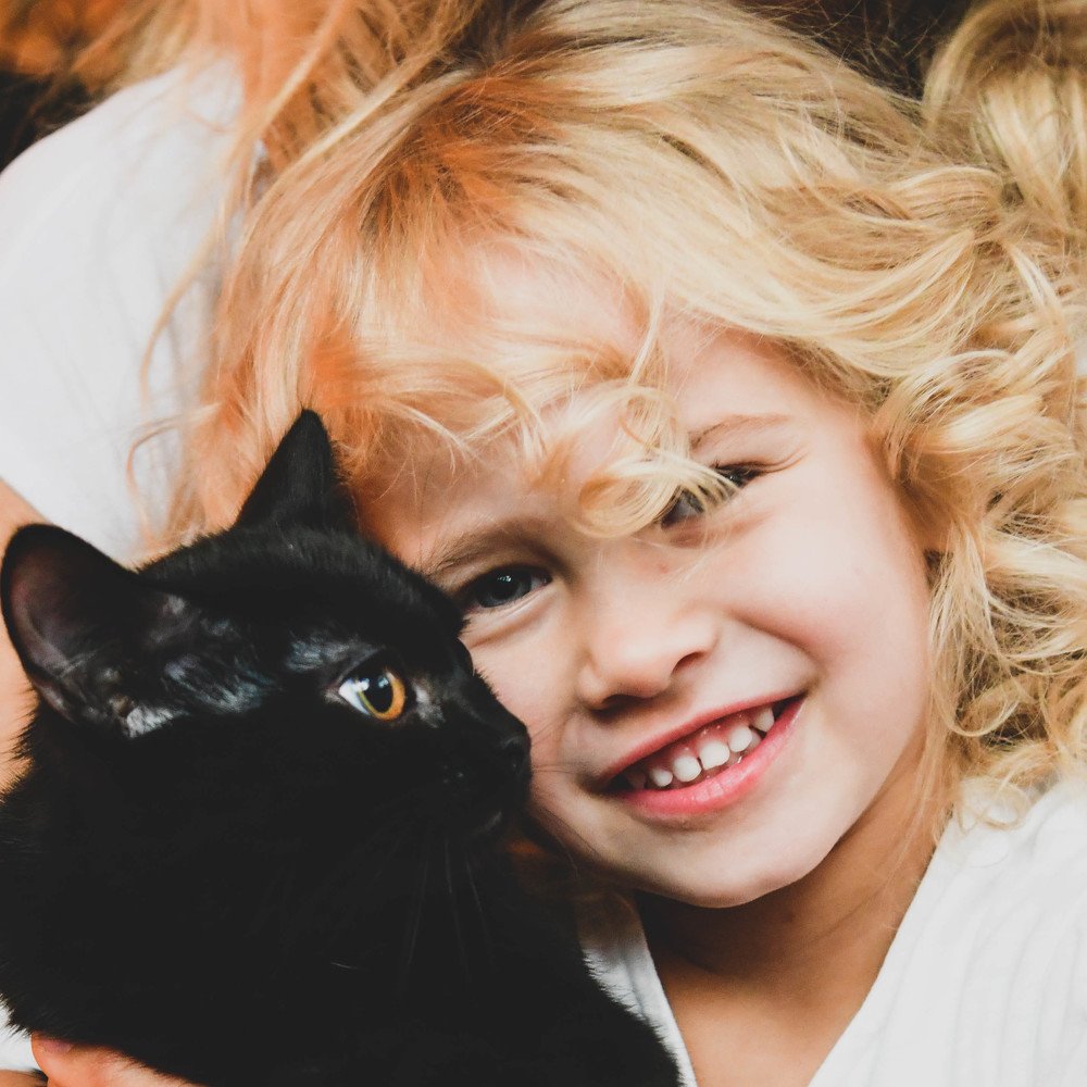 Домашние питомцы