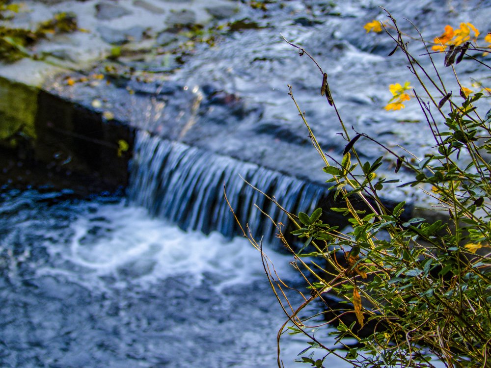 Photograph by János Rábli