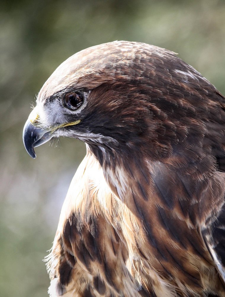 Photograph by Olga Vasina