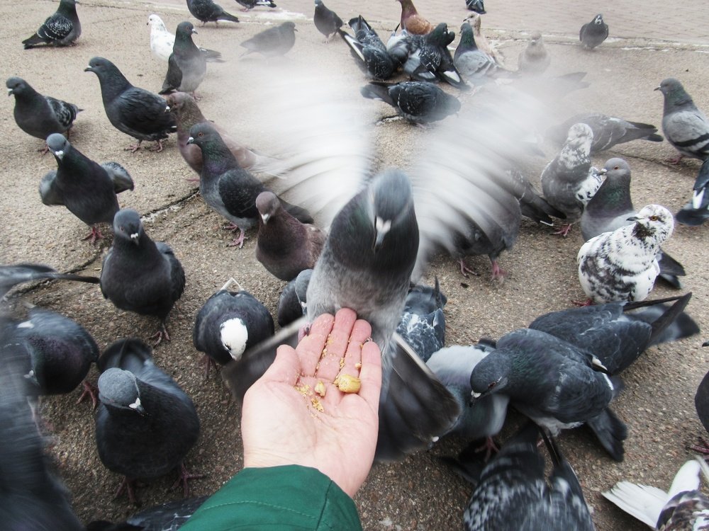 Photograph by Марина Савченко