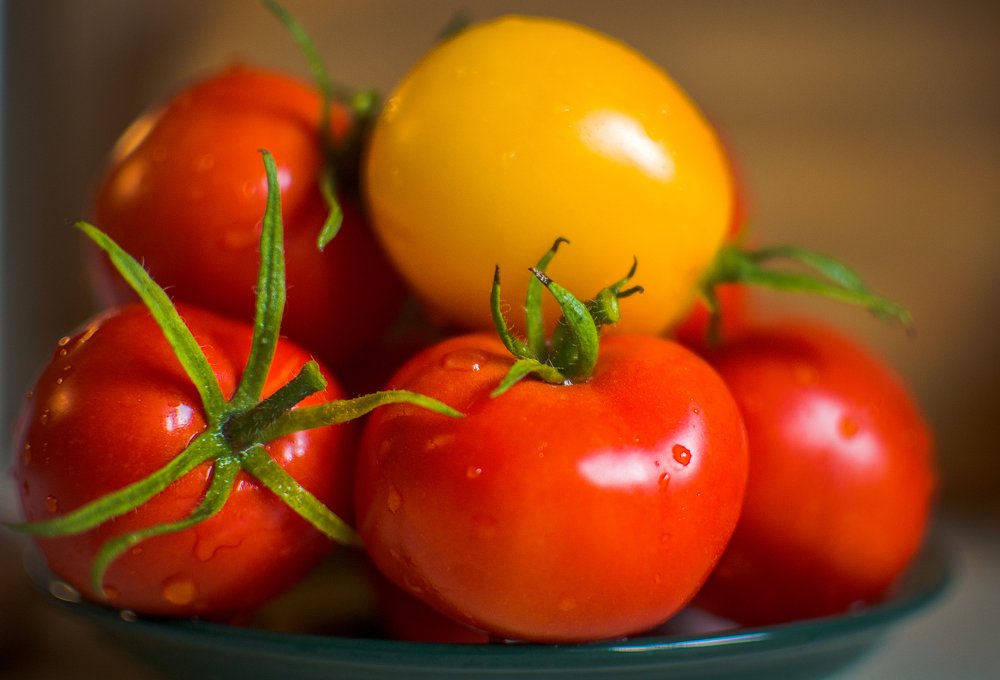 Photograph by Светлана Мельник