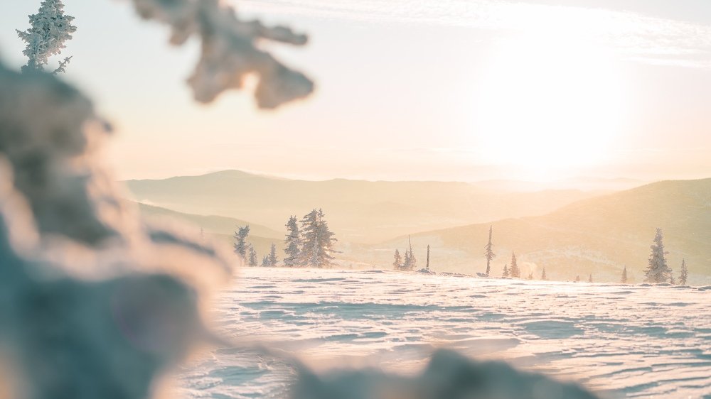 Photograph by Рустам Хусаинов