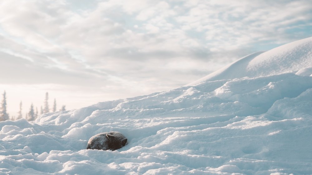 Photograph by Рустам Хусаинов