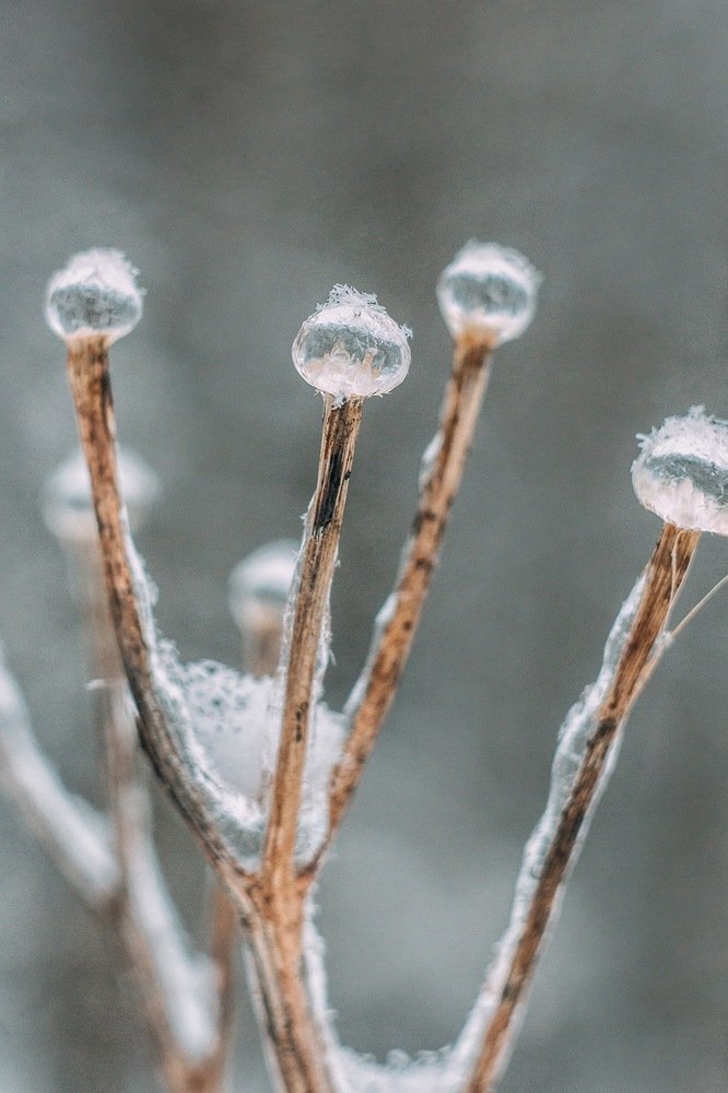 Photograph by Алена