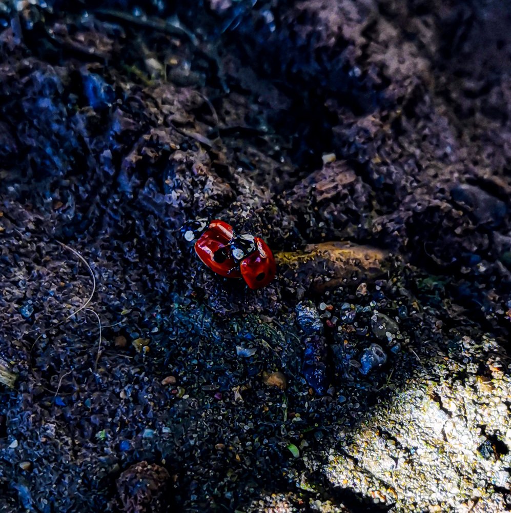 Photograph by Светлана Перминова