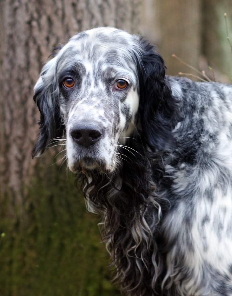 Photograph by Вика Иванова