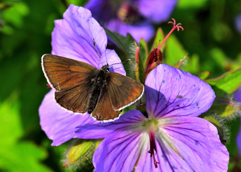 Photograph by Александр Мухин